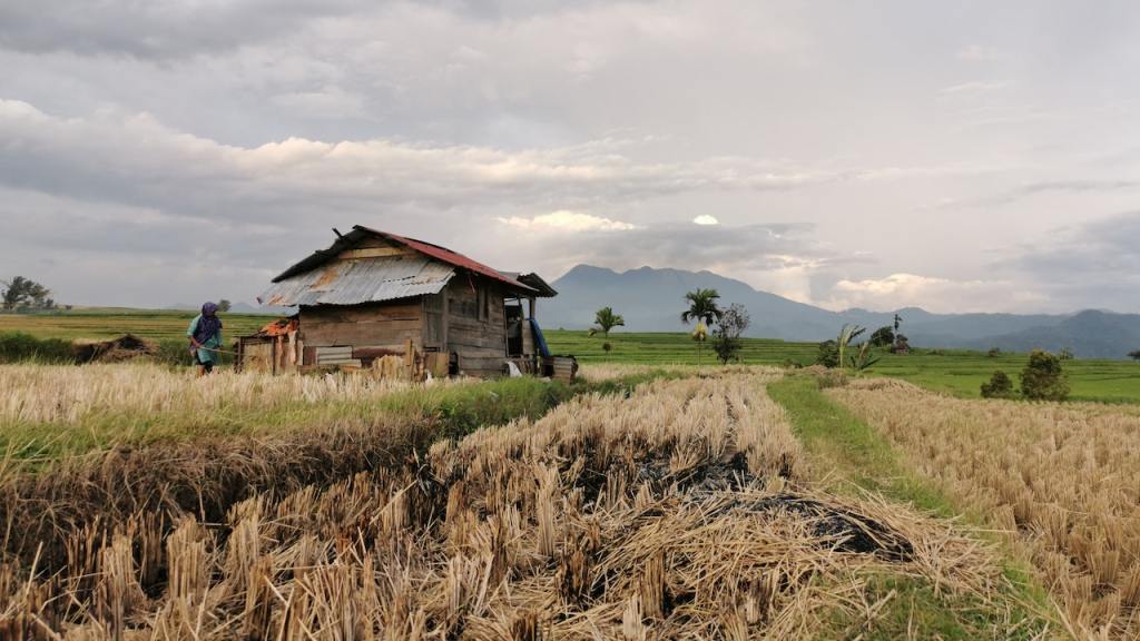 geluk mental coach foto berg schuur
